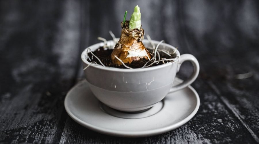 What Every Leader Should Focus On