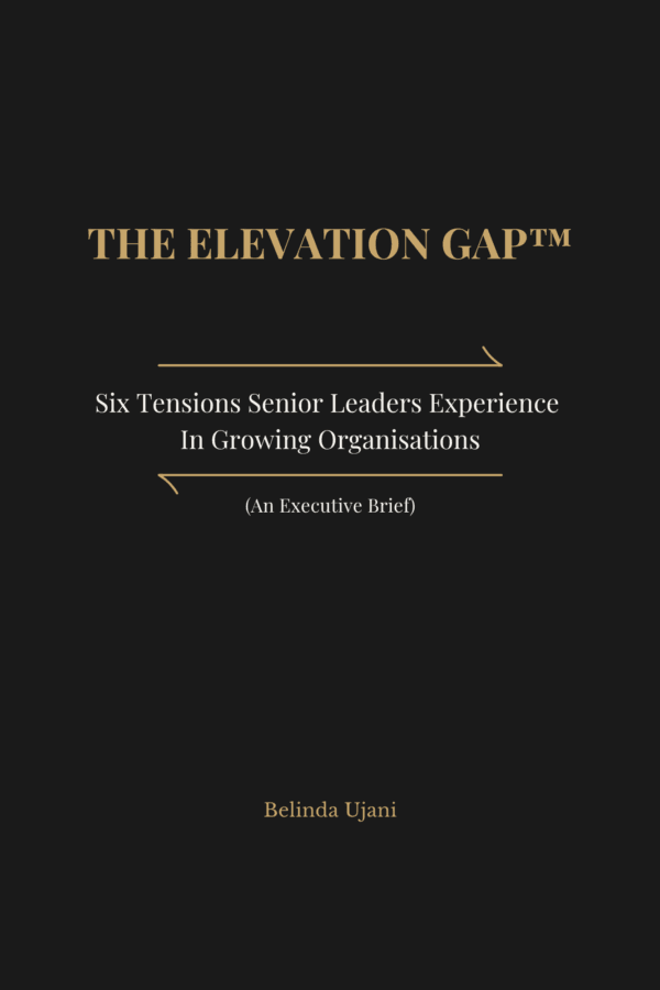 The Elevation Gap™: Six Tensions Senior Leaders Experience in Growing Organisations